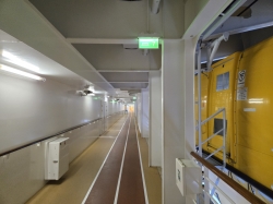 Symphony of the Seas Running Track picture