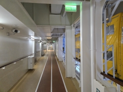 Symphony of the Seas Running Track picture
