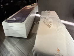 MSC Seashore MSC Aurea Spa picture