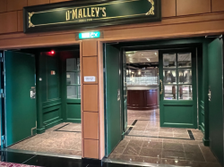 O Malleys Irish Pub picture