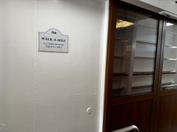 Island Princess Outside Promenade picture