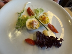 Volendam Rotterdam Dining Room picture Uploaded in 2025 Photo courtesy of Steve Millay. Volendam Rotterdam Dining Room picture