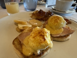 Volendam Rotterdam Dining Room picture Uploaded in 2025 Photo courtesy of Steve Millay. Volendam Rotterdam Dining Room picture