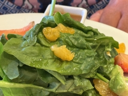 Volendam Rotterdam Dining Room picture Uploaded in 2025 Photo courtesy of Steve Millay. Volendam Rotterdam Dining Room picture