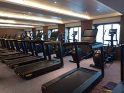 Arvia Oasis Gym picture