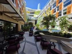 Star of the Seas Lou Jazzn Blues picture