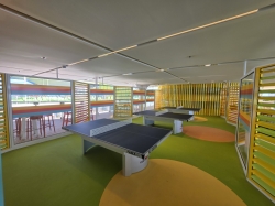 Star of the Seas Chill Island picture Uploaded in 2025 Photo courtesy of familyatsea. Star of the Seas Chill Island picture