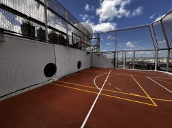 Celebrity Reflection Sports Court picture