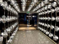 Pink Agave picture Pink Agave picture