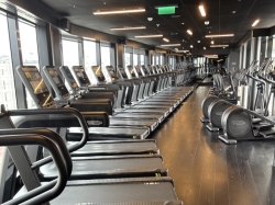 B-Complex picture B-Complex picture