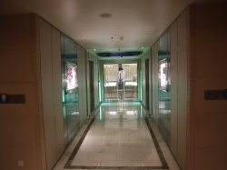 Carriage Jewels picture Carriage Jewels picture