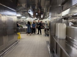 Majestic Princess Galley Tour picture