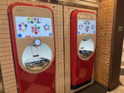 Star of the Seas Sorrentos picture