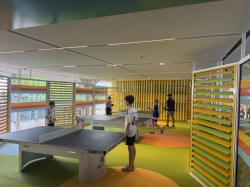 Star of the Seas Chill Island picture Uploaded in 2025 Photo courtesy of Steve Millay. Star of the Seas Chill Island picture