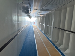 Star of the Seas Running Track picture