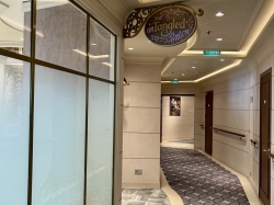 Disney Wish Untangled Salon picture