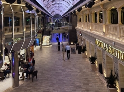 MSC Euribia Galleria Euribia picture