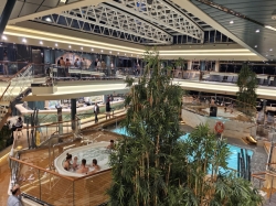 Tropical Pool picture