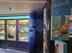 MSC Euribia MSC Foundation picture