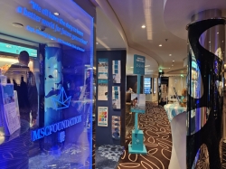 MSC Euribia MSC Foundation picture