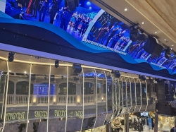 MSC Euribia Galleria Euribia picture