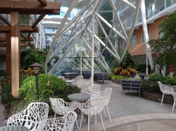 Wonder of the Seas Central Park picture