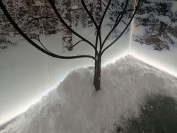 MSC Aurea Spa picture MSC Aurea Spa picture