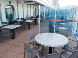 Star Princess The Promenade picture Uploaded in 2025 Photo courtesy of Neal Bruder. Star Princess The Promenade picture
