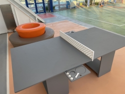 Sports Court picture