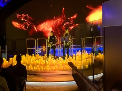 Star Princess Dome picture Uploaded in 2025 Photo courtesy of Joshua Zufelt. Star Princess Dome picture