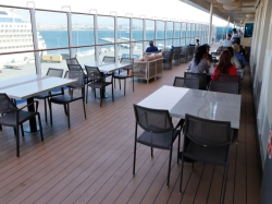 Star Princess The Promenade picture Uploaded in 2025 Photo courtesy of Neal Bruder. Star Princess The Promenade picture