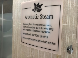 Spa Upper Level picture