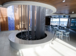 Star Princess Dome picture Uploaded in 2025 Photo courtesy of Neal Bruder. Star Princess Dome picture