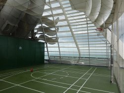 Sports Court picture Sports Court picture