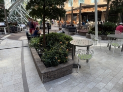 Central Park picture Central Park picture