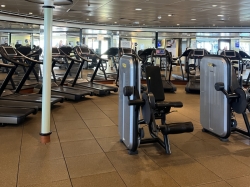 Norwegian Dawn Fitness Center picture