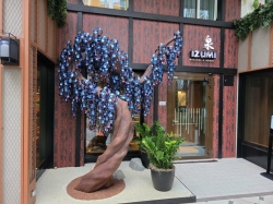 Star of the Seas Izumi in the Park picture