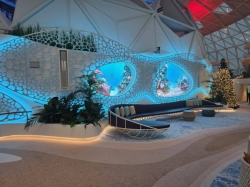 Star of the Seas Overlook Lounge picture