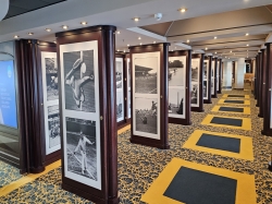 Photo Gallery & Shop picture