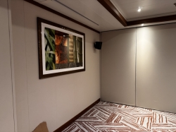 Norwegian Dawn Meeting Rooms picture