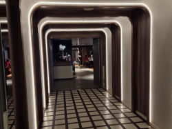 Brilliant Lady Razzle Dazzle picture