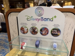 Mickeys Mainsail picture Mickeys Mainsail picture