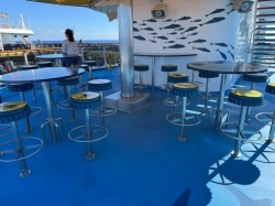 Landshark Bar picture