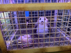 Oceaneer Club picture Oceaneer Club picture