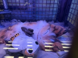 Oceaneer Club picture Oceaneer Club picture