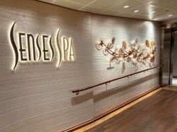 Disney Treasure Senses Spa picture
