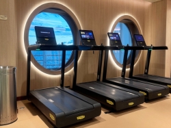 Disney Treasure Senses Fitness picture