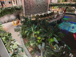 Jungle Bar and Pool picture