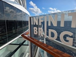 MSC Seascape Infinity Bridge picture