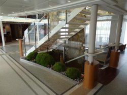 Library picture Library picture